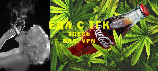 тгк Новозыбков