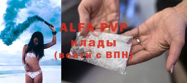 тгк Новозыбков