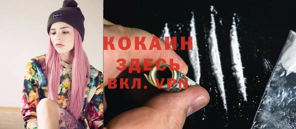 гидра Няндома