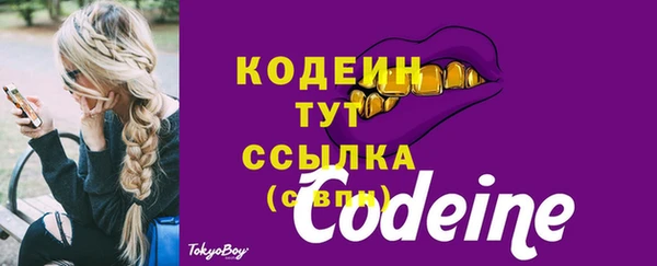 тгк Новозыбков