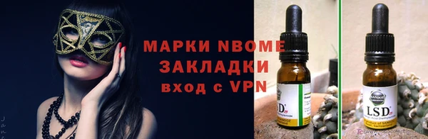 тгк Новозыбков