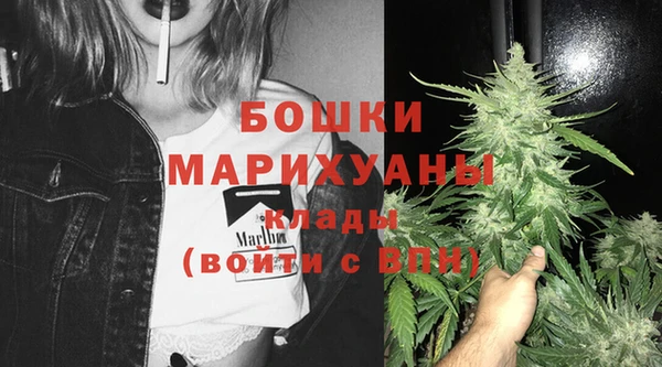 сатива Нягань
