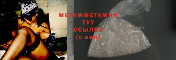 гидра Няндома