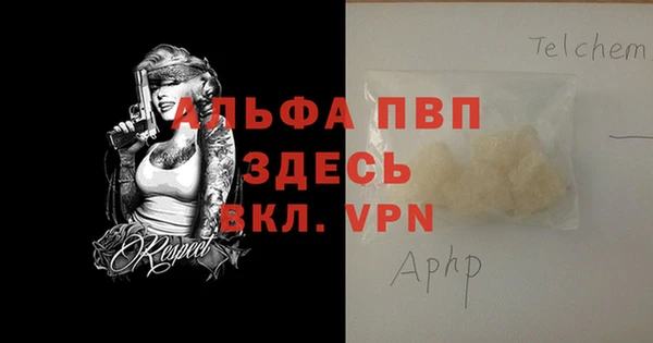 тгк Новозыбков
