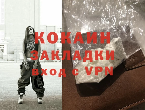 гидра Няндома