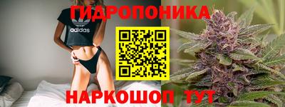 ГАЛЛЮЦИНОГЕННЫЕ ГРИБЫ Будённовск